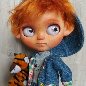 Deniel Blythe Boy Companion Doll Collection Doll