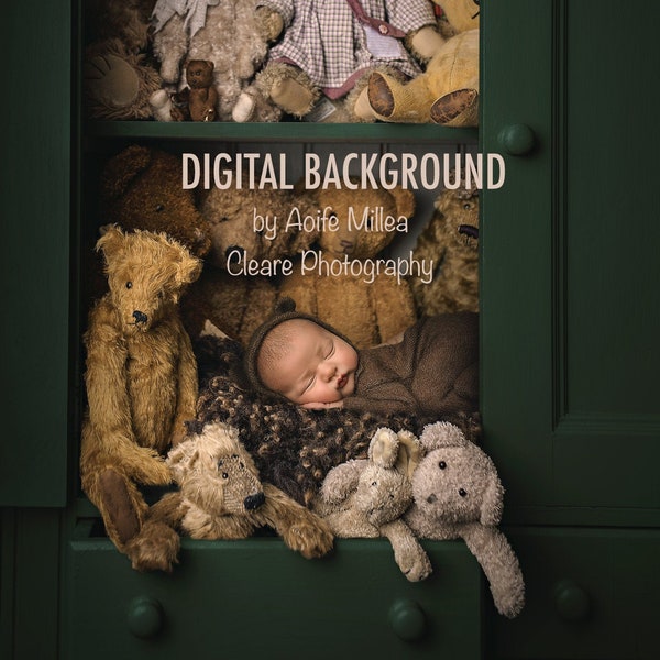 bear necessities newborn digital background