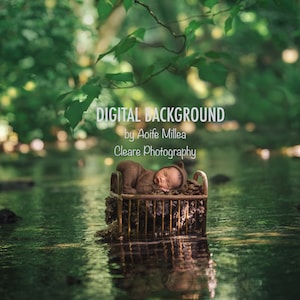 Puede incluir: Una imagen de fondo digital que presenta a un bebé durmiendo en una cuna flotando en un río en un exuberante bosque verde. El texto "DIGITAL BACKGROUND by Aoife Millea Cleare Photography" se muestra en la parte superior de la imagen.