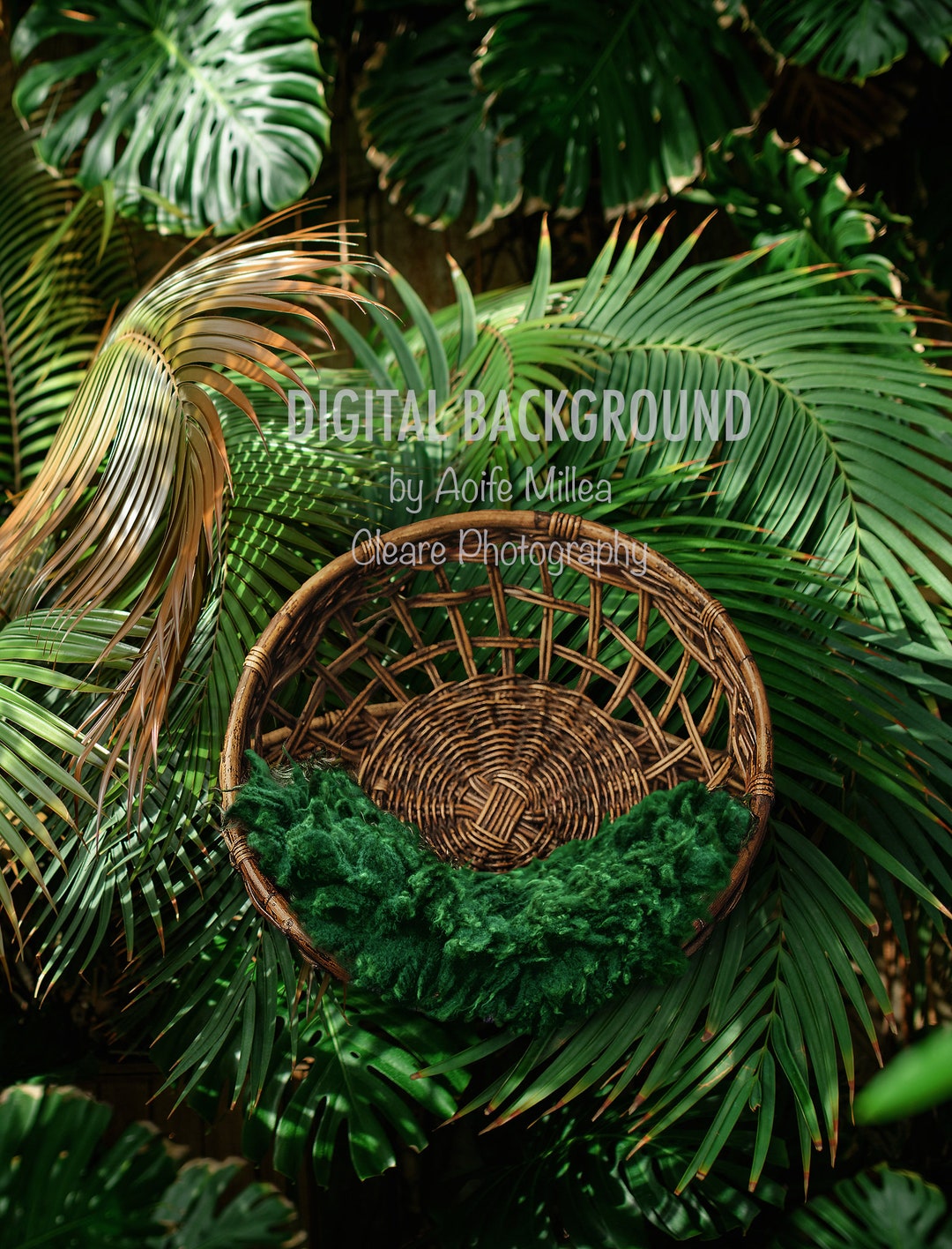 Botanical Backdrop Botanic Basket Newborn Digital Backdrop - Etsy
