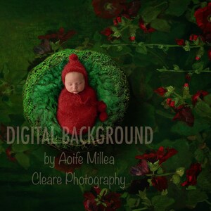 ruby moss nest newborn digital background