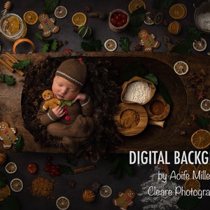 newborn gingerbread digital backdrop