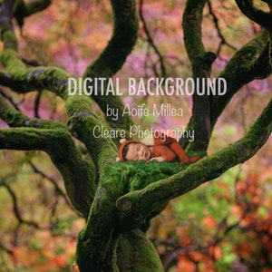 Mossy Cradle newborn digital backdrop