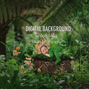 newborn outdoor chest digital backdrop