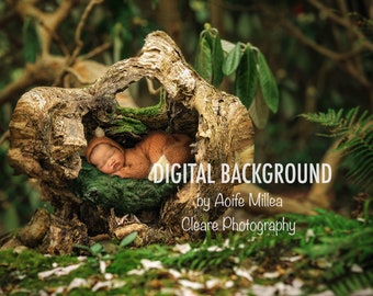 hollow log newborn digital background