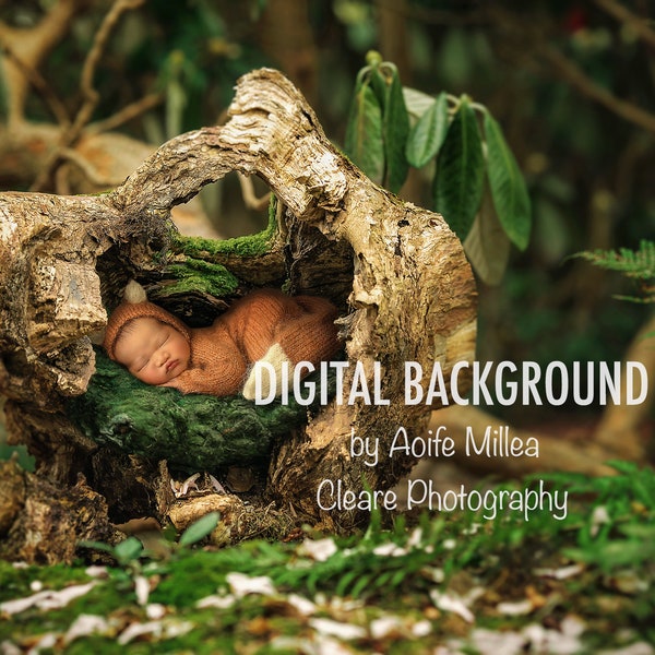 hollow log newborn digital background