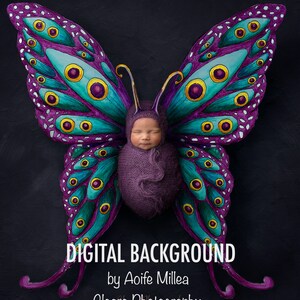 newborn digital backdrop hand drawn butterfly with antenna overlay