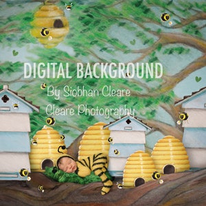 bee village newborn/sitter digital background