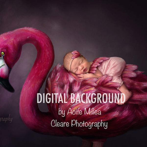 layered flamingo hand drawn  newborn digital backdrop