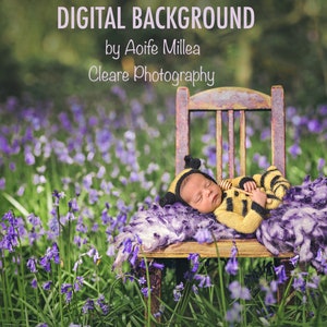 chair in bluebells digital backdrop