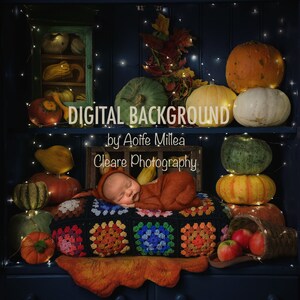 fairy light fall newborn digital background