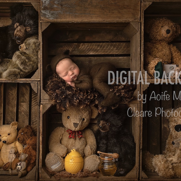 newborn teddy bears digital backdrop