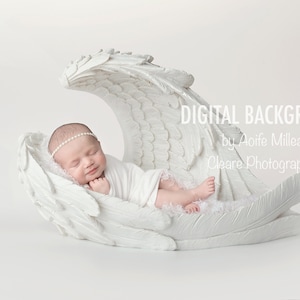 newborn angel wings digital backdrop