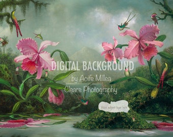 Hummingbird dream newborn / sitter digital backdrop