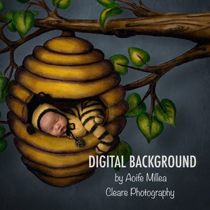 newborn bee hive digital backdrop , hand drawn