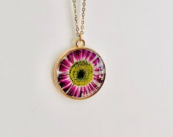 Pink daisy necklace, daisy pendant, Dried daisy necklace, real flower necklace