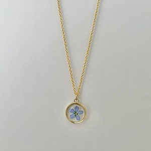 Collier ne m'oubliez pas, pendentif vraie fleur, cadeau pour maman, cadeau pour elle image 2