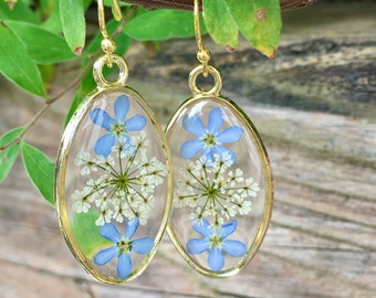 Oublie-moi Pas de boucles d’oreilles, vraies boucles d’oreilles de fleurs, vraie fleur Cadeau, Boucles d’oreilles de fleurs séchées