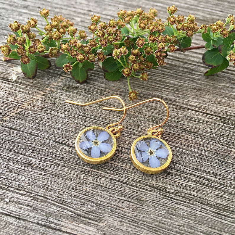 forget me not earrings, forget me not, dried flowers, forgetmenot gold image 3