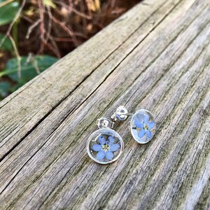 forget me not stud earrrings, forget me not, stud earrings, 925 Sterling Silver image 5