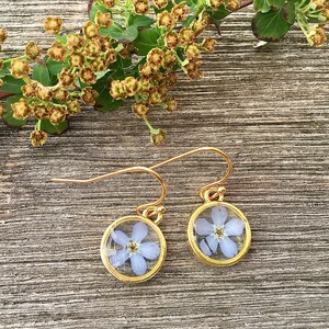 forget me not earrings, forget me not, dried flowers, forgetmenot gold image 4