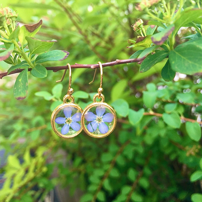 forget me not earrings, forget me not, dried flowers, forgetmenot gold image 2