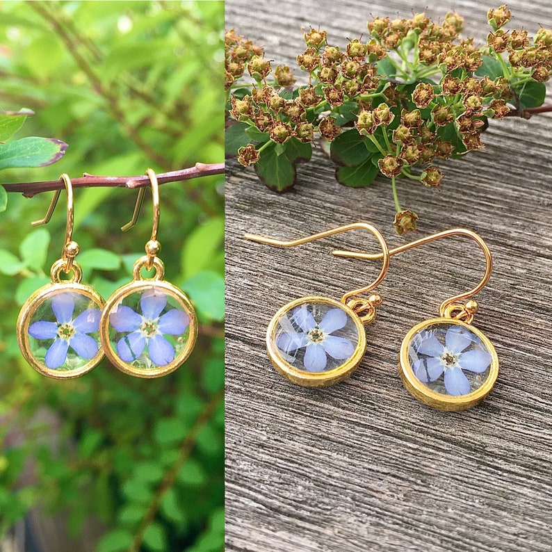 forget me not earrings, forget me not, dried flowers, forgetmenot gold image 1