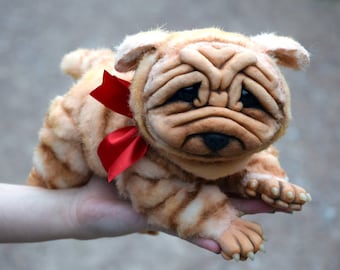 Shar Pei Wrinkles Dog