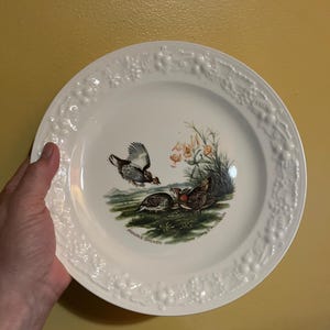 Könnte beinhalten: Weiße dekorative Platte mit einer detaillierten Illustration von Präriehühnern, die Vögel in verschiedenen Posen inmitten von Gras und Blumen zeigen. Die Platte hat einen erhabenen floralen Rand und den Text "Prairie Chicken" und "John James Audubon".