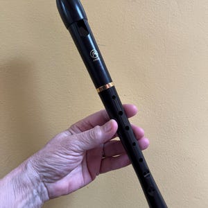 May include: A black recorder with gold accents is held in a hand. The recorder has a mouthpiece, finger holes, and the brand name "Angel" printed on it. The recorder is a musical instrument.