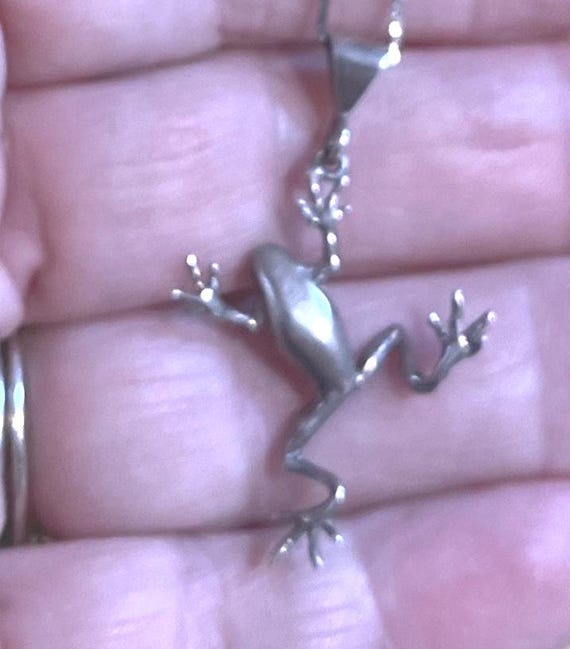 925 Silver Frog Pendant - image 1