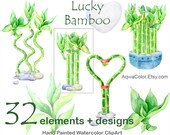 Lucky Bamboo - watercolor floral clipart commercial use Room home bamboo plant greenery wedding love plant Valentine day wild plant png