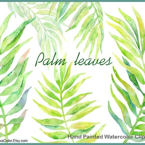 Watercolor clipart Palm Leaves - commercial use clipart green leaves clipart palm leaf floral clipart wedding clip art greenery png set