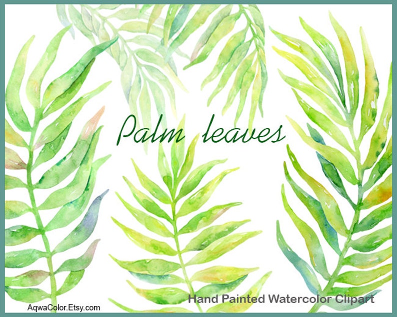 May include: Watercolor painting of green palm leaves on a white background. The text "Palm leaves" is written in cursive script in the center of the image. The text "Hand Painted Watercolor Clipart" is written at the bottom of the image.