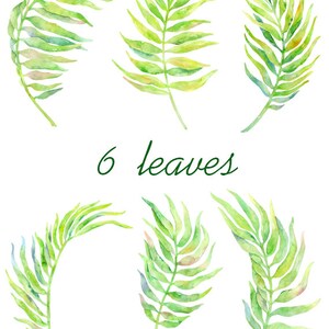 May include: Six watercolor illustrations of green palm leaves, with the text "6 leaves" in green lettering.