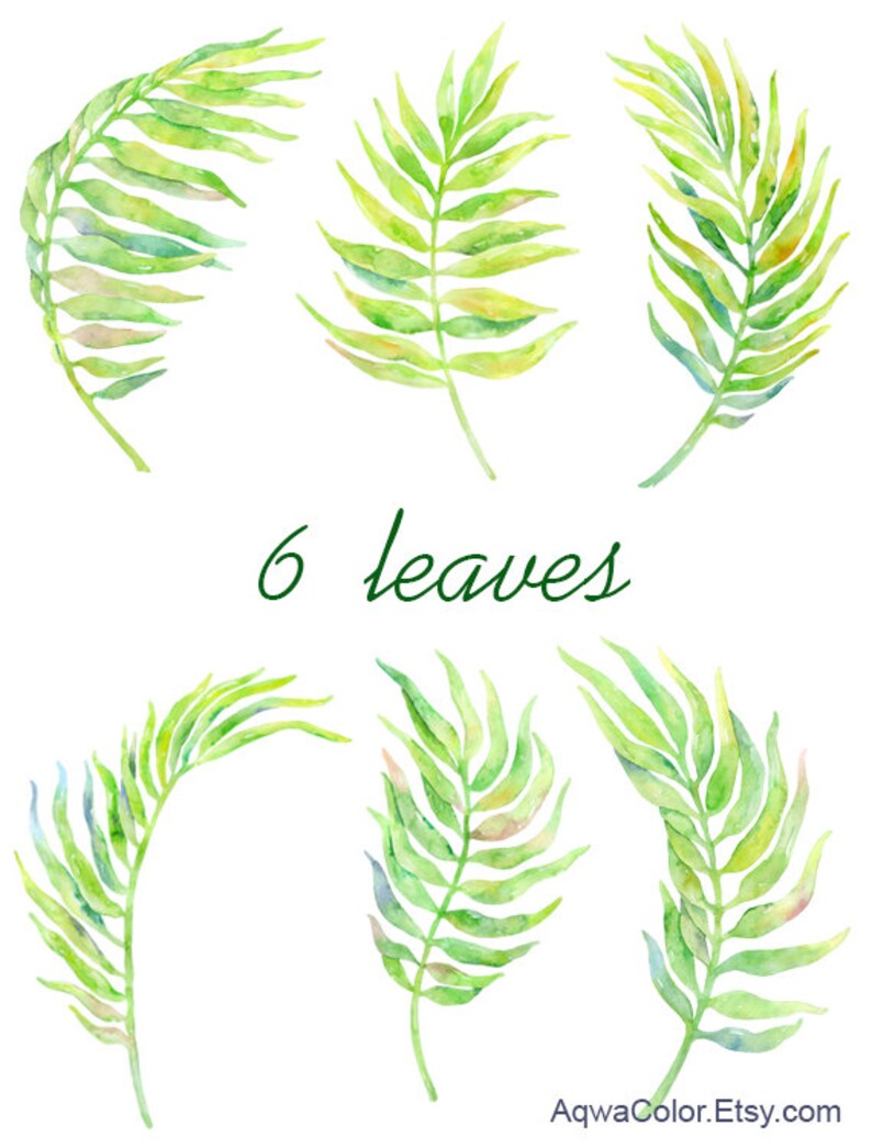 May include: Six watercolor illustrations of green palm leaves, with the text "6 leaves" in green lettering.