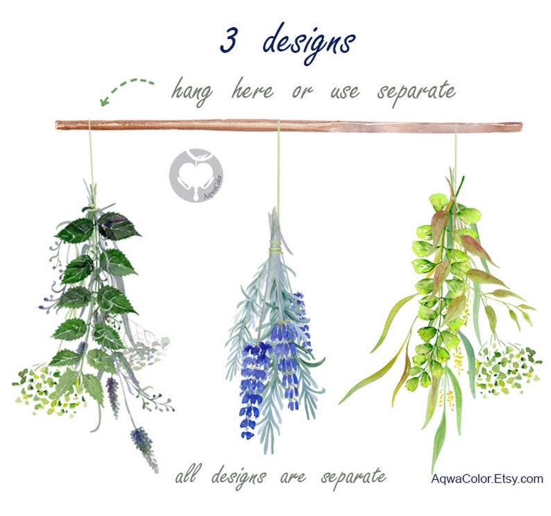 Puede incluir: Tres ilustraciones de acuarela de hierbas secas colgadas de una barra de madera. Las hierbas son lavanda, hojas verdes y una mezcla de hojas verdes y amarillas. El texto "3 designs" est&aacute; en la parte superior de la imagen, y el texto "all designs are separate" est&aacute; en la parte inferior de la imagen.