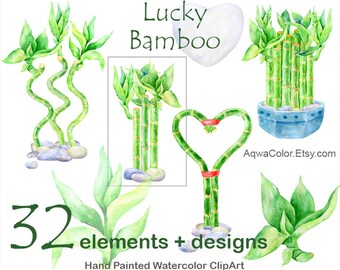 Lucky Bamboo - watercolor floral clipart commercial use Room home bamboo plant greenery wedding love plant Valentine day wild plant png