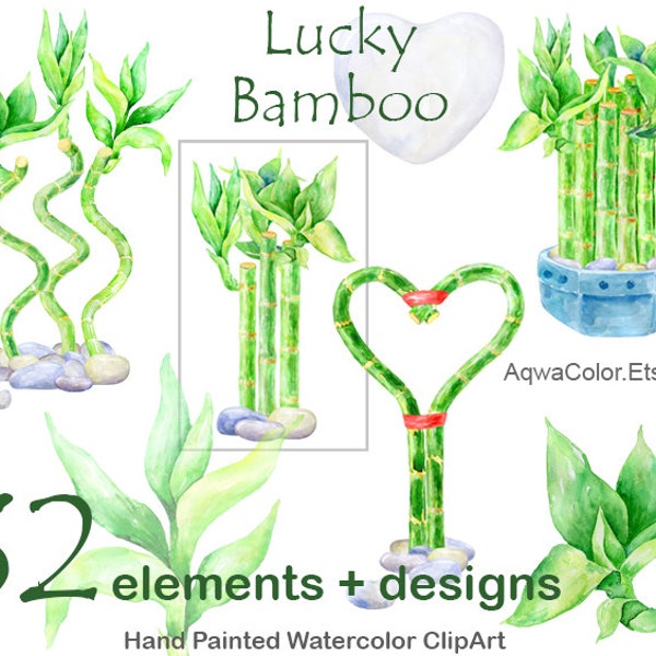 Lucky Bamboo - watercolor floral clipart commercial use Room home bamboo plant greenery wedding love plant Valentine day wild plant png