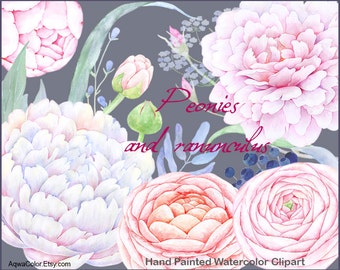 Watercolor clipart Peonies and Ranunculus - commercial use clipart white pink peony ranunculus clipart wedding flowers pastel clipart png