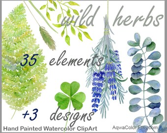 Watercolor clipart Wild Herbs - commercial use clipart grass herb clipart lavender clipart nettle fern wild flower leaf bunch herb png set