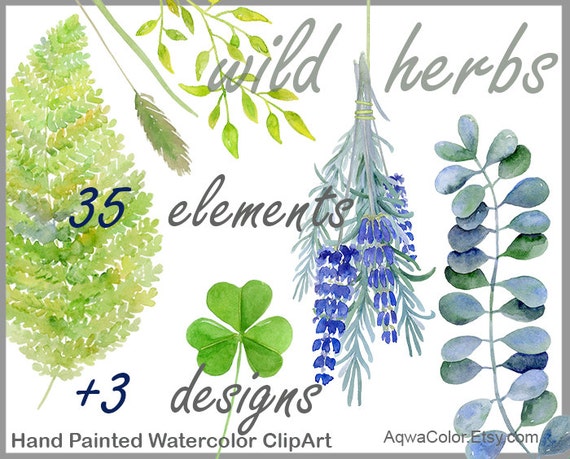 Watercolor clipart Wild Herbs - commercial use clipart grass herb clipart lavender clipart nettle fern wild flower leaf bunch herb png set