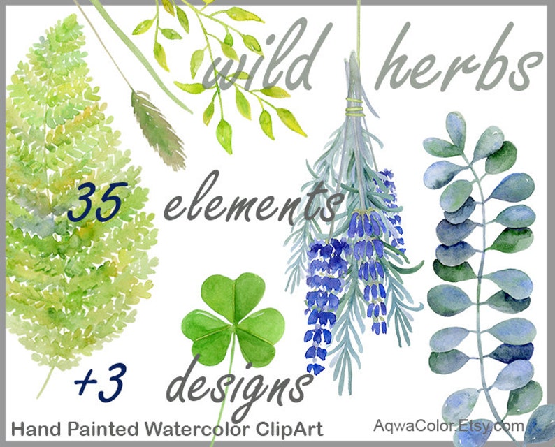 Puede incluir: Ilustraciones de acuarela de hierbas silvestres, incluyendo lavanda, tr&eacute;bol y hojas de eucalipto. Hay 35 elementos y 3 dise&ntilde;os en este conjunto de clipart pintado a mano.