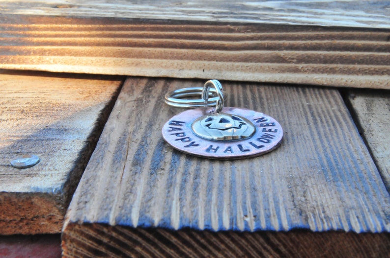 Pumpkin dog tag Dog tag pet tag custom pet tag pet Id tag Etsy