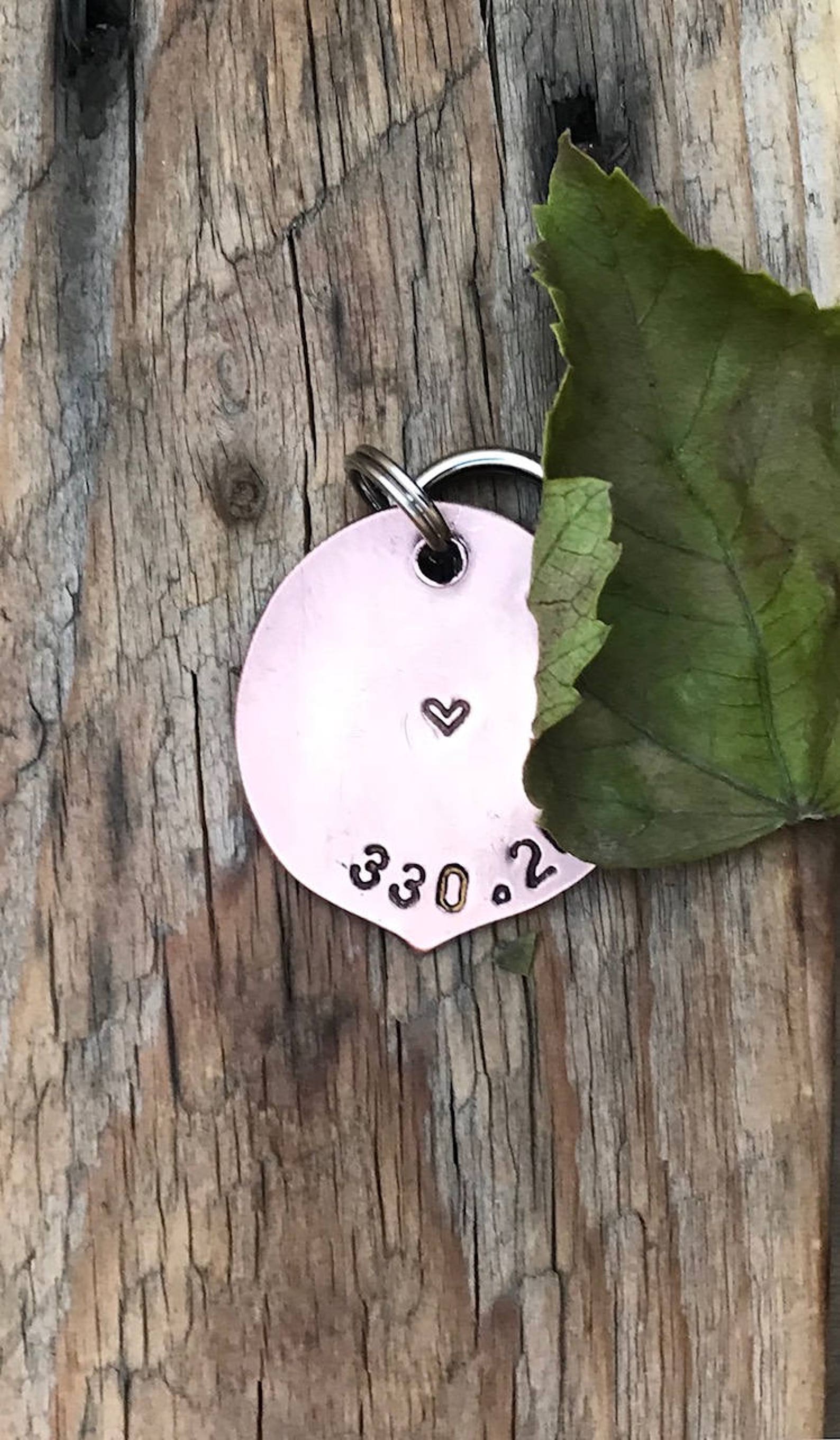 Large Dog Peach Tag Miniature Food Food Jewelry Etsy
