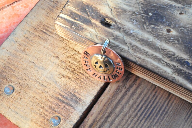 Pumpkin dog tag Dog tag pet tag custom pet tag pet Id tag Etsy
