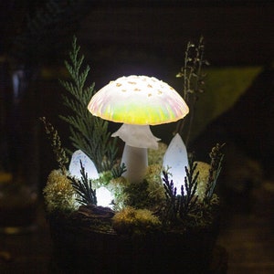 Mushroom Lamp MADE TO ORDER Mushrooms With Crystals Mushroom Lamp