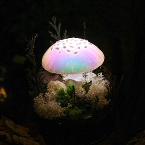 Mushroom Lamp MADE TO ORDER Mushrooms Mushroom Lamp Fungi Light