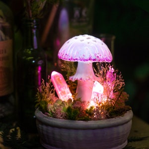 Mushroom lamp MADE to ORDER- Pink mushroom lamp with crystals - fairy glowing home decor - fungi light - Fantasy forest - glowing mushrooms