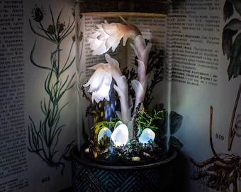 LED Nachtlicht Pilz Lampe - Leuchtpilze Leuchtpilze - Leuchtpilze Alchemie - Leuchtpilze - Leuchtpilze - Leuchtpilze - Leuchtpilze -